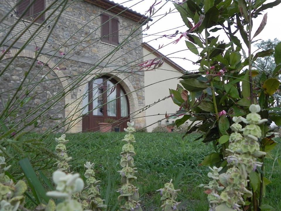 Agriturismo Sugheretello Semproniano Zewnętrze zdjęcie