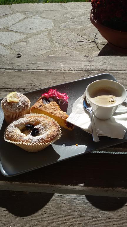 Agriturismo Sugheretello Semproniano Zewnętrze zdjęcie